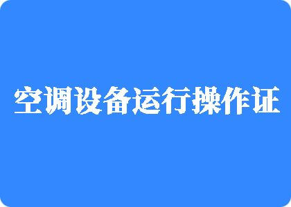 大鸡巴用力插到高潮在线视频制冷工证